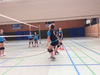 volley (13)